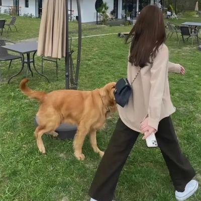 我是爱